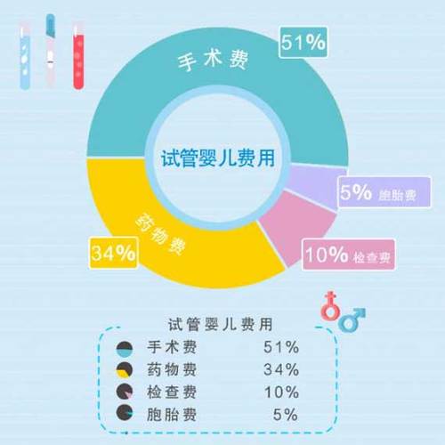 包成功试管代怀费用多少【成功试管代怀费用多少？全面解析试管婴儿代孕费用】