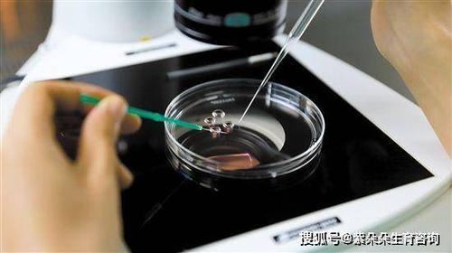 深圳供卵试管婴儿_深圳供卵试管婴儿:新生命的奇迹